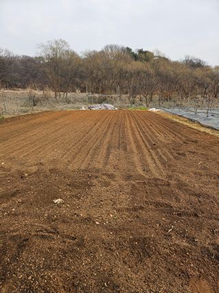 우진수님의 기타작물 · 영농일지 작성글 사진