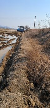 이복길님의 작성글 사진