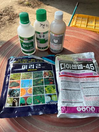 님의 포도 · 영농일지 작성글 사진