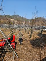 팜모닝 배·영농일지 게시글 이미지