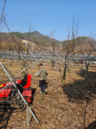 조영민님의 배 · 영농일지 작성글 사진