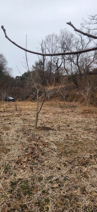 최군환님의 기타작물 · 영농일지 작성글 사진