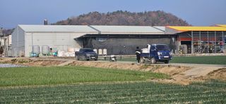 구춘봉님의 마늘 · 영농일지 작성글 사진