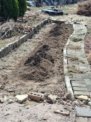 헤이쥬회원님의 기타작물 · 영농일지 작성글 사진