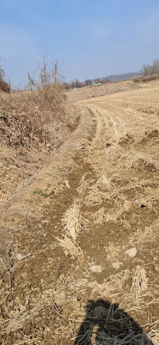 이복길님의 벼 · 영농일지 작성글 사진