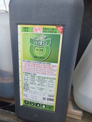 햇살농원 옥이네사과님의 사과 · 영농일지 작성글 사진