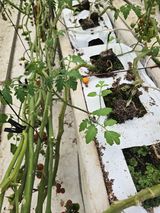 김호진님의 작성글 사진