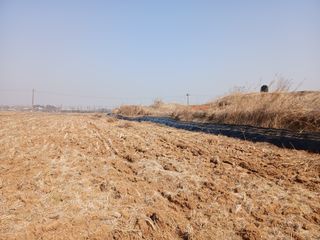 백경철님의 벼 · 영농일지 작성글 사진