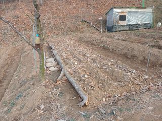 김홍중님의 기타작물 · 영농일지 작성글 사진