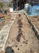 팜모닝 기타작물·영농일지 게시글 이미지