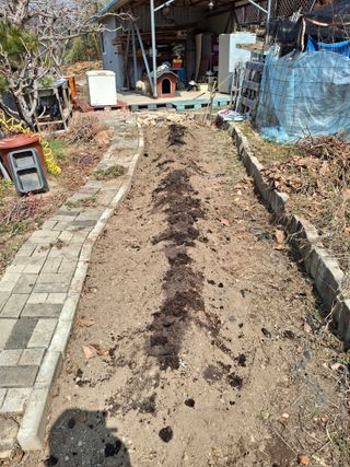 헤이쥬회원님의 기타작물 · 영농일지 작성글 사진