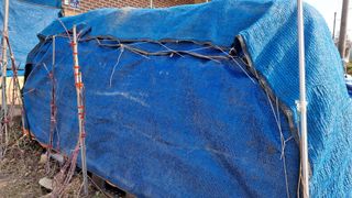 이정운님의 기타작물 · 영농일지 작성글 사진