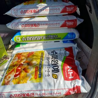 삼성농산님의 마늘 · 영농일지 작성글 사진