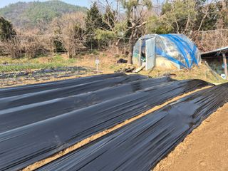 이경옥님의 고추 · 영농일지 작성글 사진