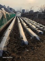 ♡청심전유삼♡님의 작성글 사진