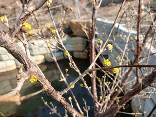 김홍중님의 기타작물 · 영농일지 작성글 사진