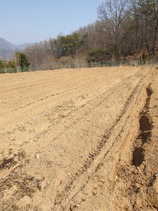 샤이니바다님의 기타작물 · 영농일지 작성글 사진