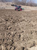 팜모닝 감자·영농일지 게시글 이미지