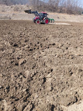 좋은인연원님의 감자 · 영농일지 작성글 사진