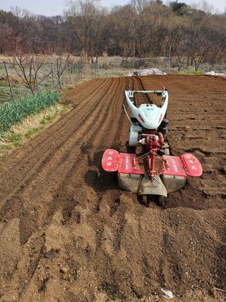 우진수님의 기타작물 · 영농일지 작성글 사진