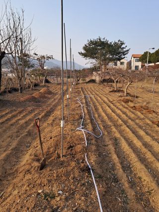 구강회님의 사과 · 영농일지 작성글 사진