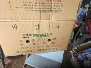 장문업 님의 감자 · 영농일지 작성글 사진