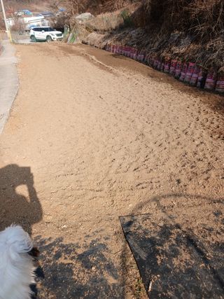 소율이네농장님의 기타작물 · 영농일지 작성글 사진