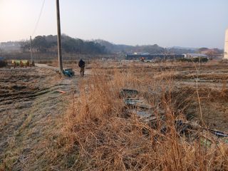 백경철님의 벼 · 영농일지 작성글 사진