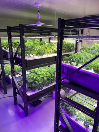 정종배님의 기타작물 · 영농일지 작성글 사진