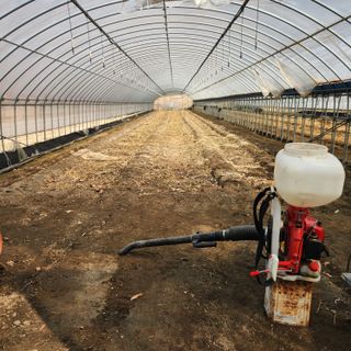 유원준님의 고추 · 영농일지 작성글 사진