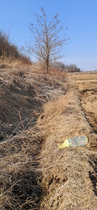 이복길님의 벼 · 영농일지 작성글 사진