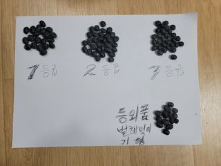 신승철님의 콩 · 영농일지 작성글 사진