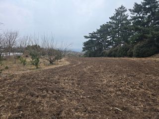 Captain김상곤님의 귤 · 영농일지 작성글 사진