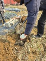 팜모닝 기타작물·영농일지 게시글 이미지