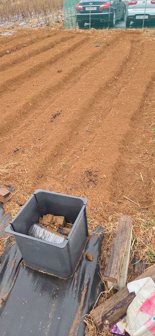 김성필님의 기타작물 · 영농일지 작성글 사진