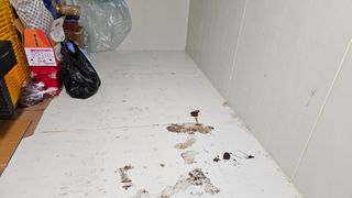 대봉농원 이경화님의 기타작물 · 영농일지 작성글 사진