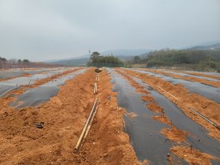 이용찬 열매마농원님의 기타작물 · 영농일지 작성글 사진
