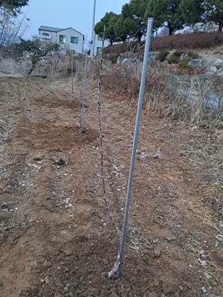 구강회님의 사과 · 영농일지 작성글 사진