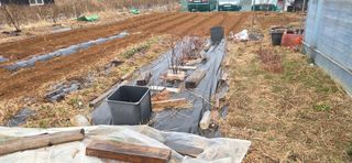 김성필님의 기타작물 · 영농일지 작성글 사진