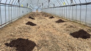 김용훈 님의 토마토 · 영농일지 작성글 사진