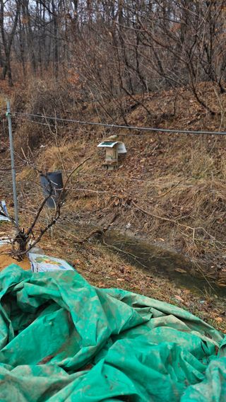 박정희 님의 기타작물 · 영농일지 작성글 사진