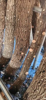 최군환님의 작성글 사진