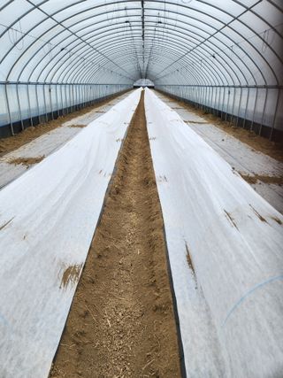 김저팔계님의 기타작물 · 영농일지 작성글 사진