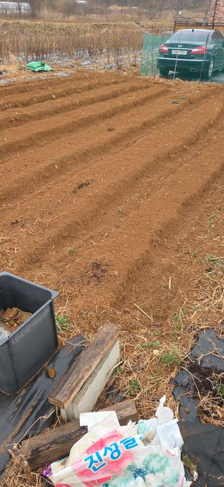 김성필님의 기타작물 · 영농일지 작성글 사진