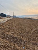 곰새끼님의 작성글 사진