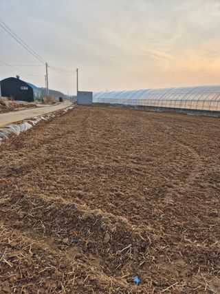 곰새끼님의 벼 · 영농일지 작성글 사진