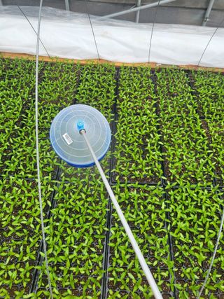 이상욱님의 고추 · 영농일지 작성글 사진