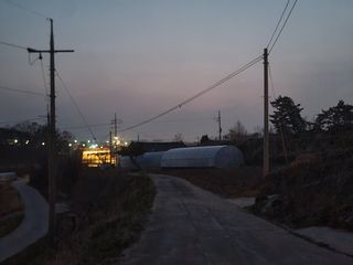 이용찬 열매마농원님의 기타작물 · 영농일지 작성글 사진