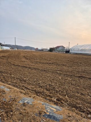 곰새끼님의 벼 · 영농일지 작성글 사진