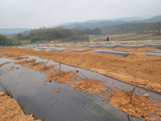 이용찬 열매마농원님의 기타작물 · 영농일지 작성글 사진